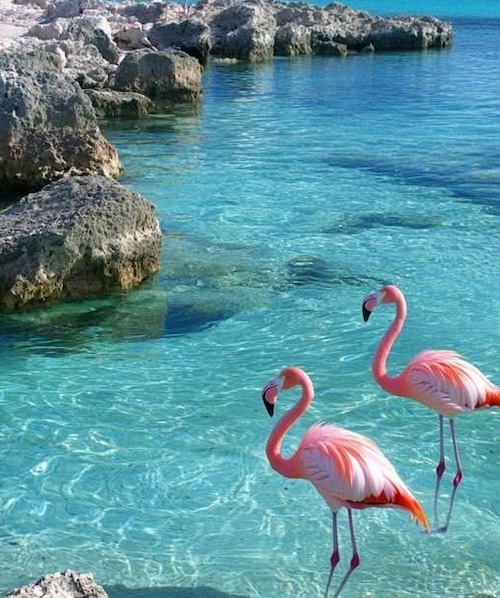 KINDVRIENDELIJK CURAÇAO > NAAR HET EILAND MET BABY