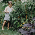 3 tips om je tuin op te fleuren