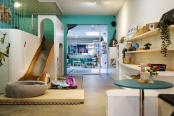 WOW Family Center Amsterdam