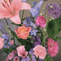 Weekly Flowers