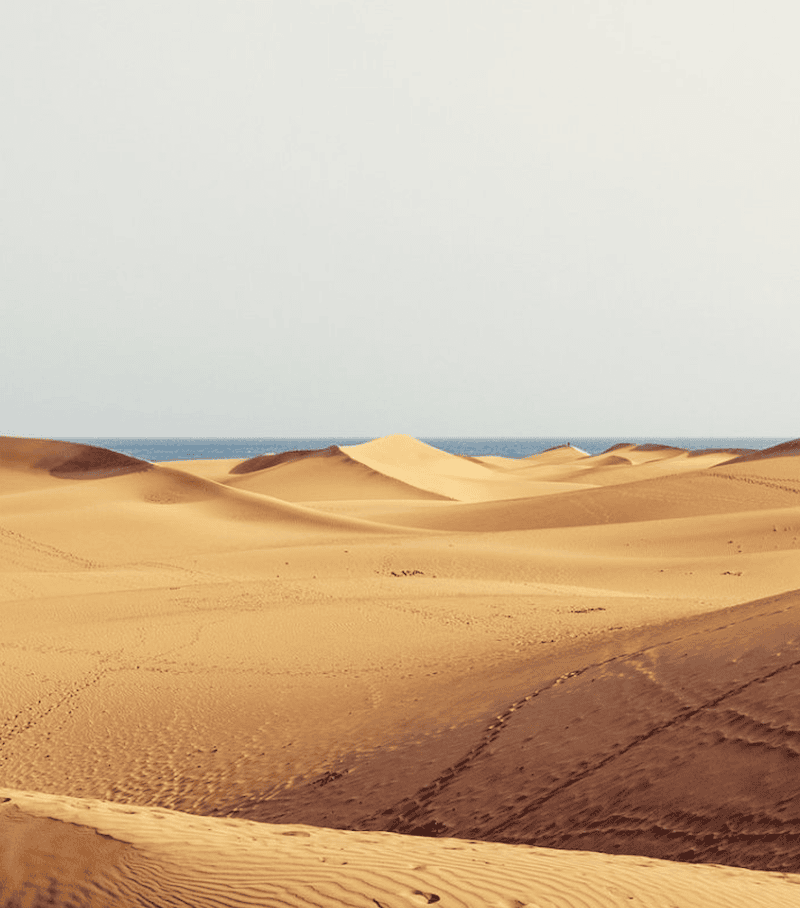 Zandduinen beklimmen bij Playa de Maspalomas, praktische tips voor een avontuurlijke dag met kinderen
